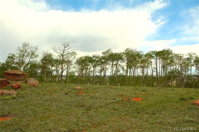 20400 Us-285 Fairplay, CO 80440