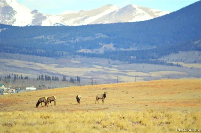 20400 Us-285 Fairplay, CO 80440