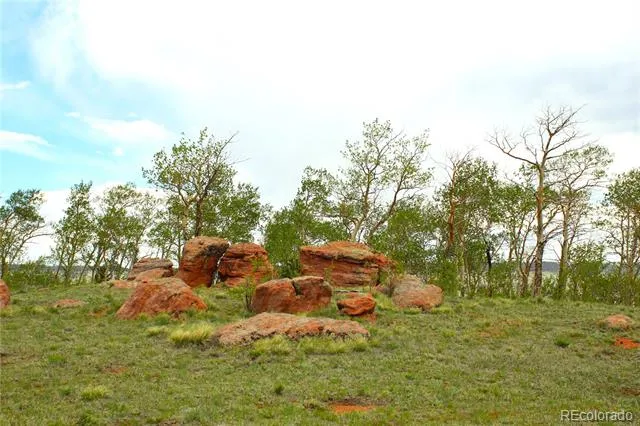 20400 Us-285 Fairplay, CO 80440