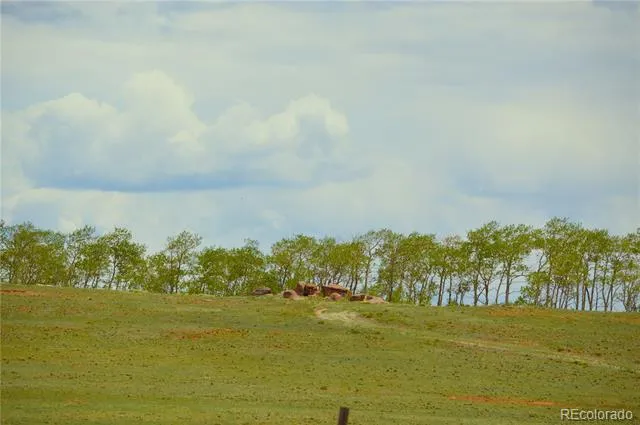 20400 Us-285 Fairplay, CO 80440