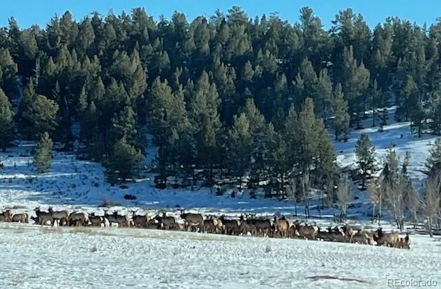 20400 Us-285 Fairplay, CO 80440
