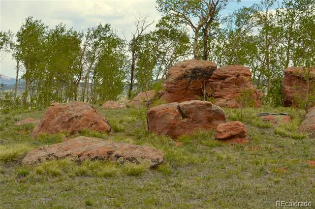 20400 Us-285 Fairplay, CO 80440