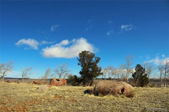 20400 Us-285 Fairplay, CO 80440
