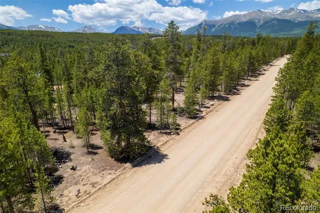 294 Peak View Drive Twin Lakes, CO 80461