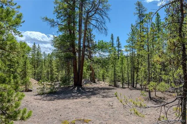 294 Peak View Drive Twin Lakes, CO 80461