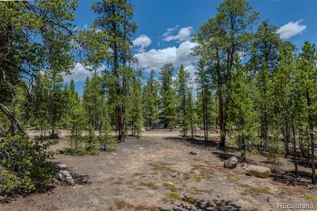 294 Peak View Drive Twin Lakes, CO 80461