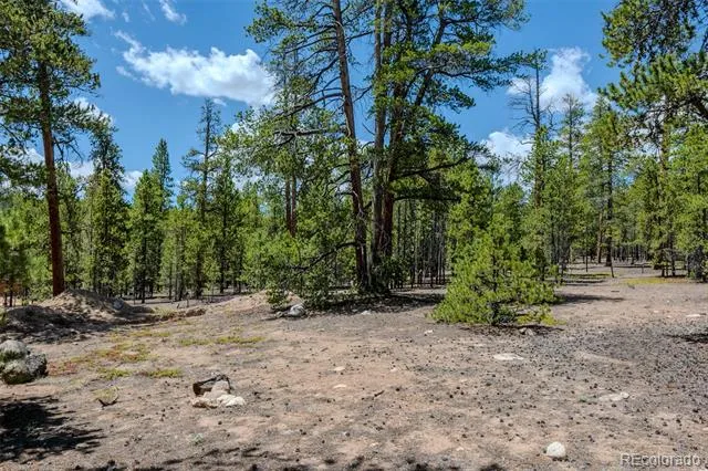 294 Peak View Drive Twin Lakes, CO 80461