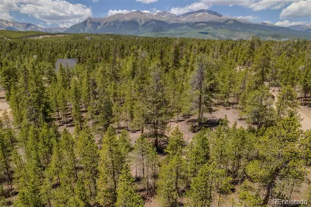 294 Peak View Drive Twin Lakes, CO 80461