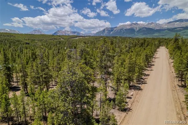 294 Peak View Drive Twin Lakes, CO 80461