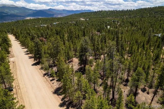 294 Peak View Drive Twin Lakes, CO 80461
