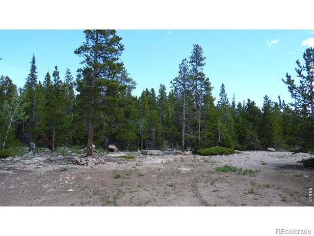 350 Natchez Circle Red Feather Lakes, CO 80545