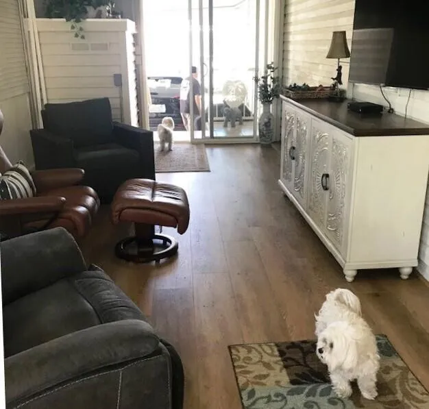 84136 Ave 44, #768 #768 Indio, CA 92203
