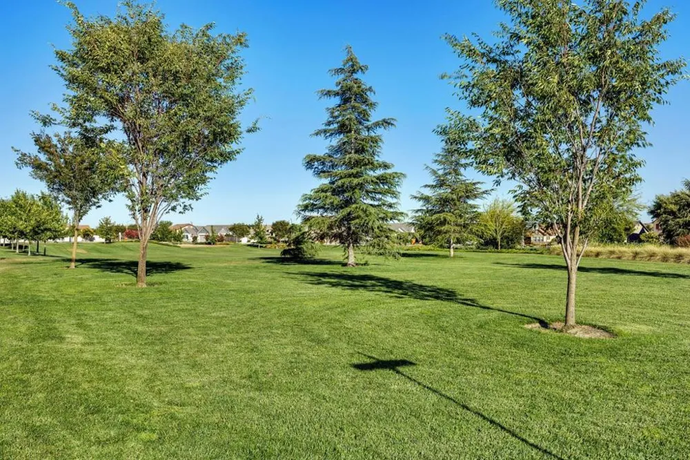 1367 Tannehill Drive Manteca, CA 95337