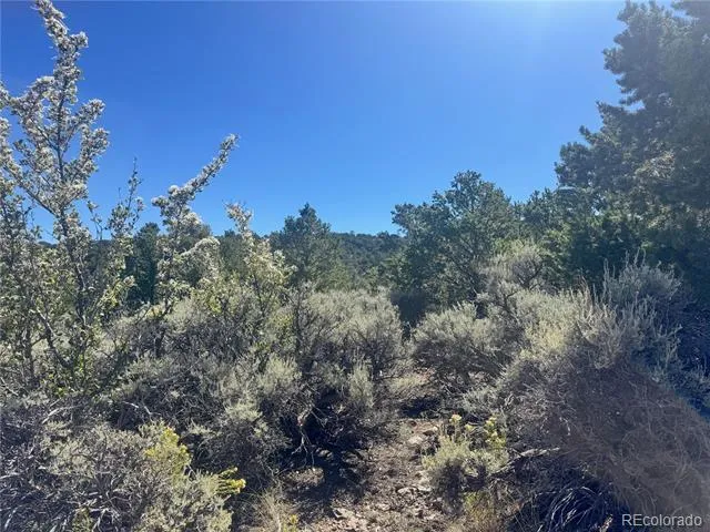lot 7876 Stone Road Fort Garland, CO 81133