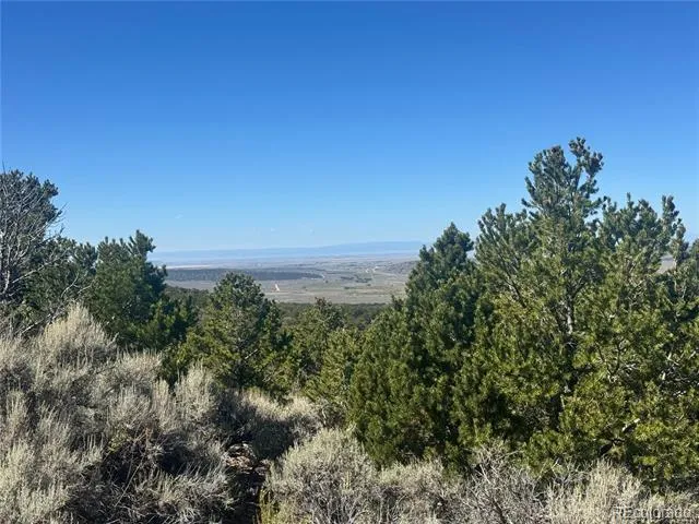 lot 7876 Stone Road Fort Garland, CO 81133