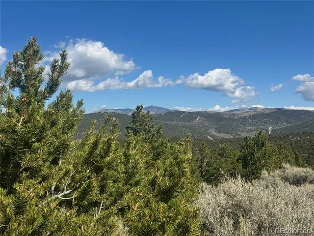 lot 7876 Stone Road Fort Garland, CO 81133