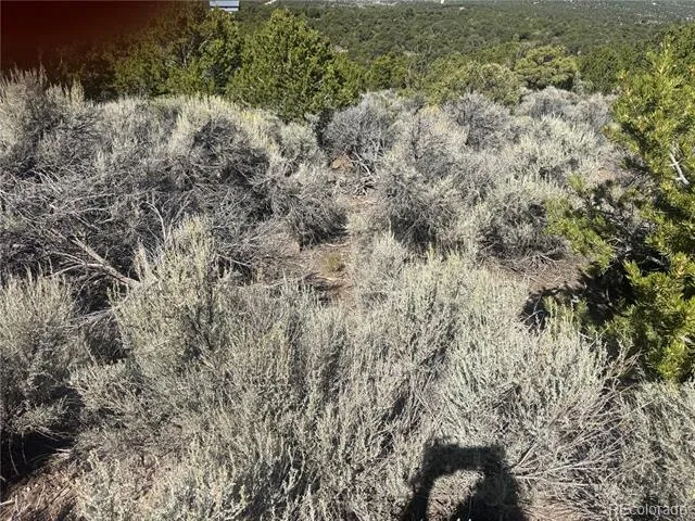 lot 7876 Stone Road Fort Garland, CO 81133