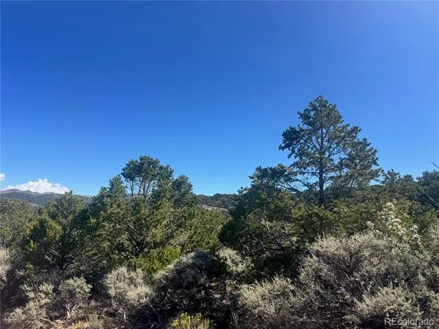 lot 7876 Stone Road Fort Garland, CO 81133