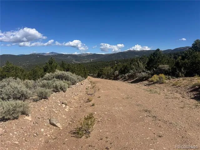 lot 7876 Stone Road Fort Garland, CO 81133