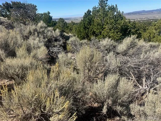 lot 7876 Stone Road Fort Garland, CO 81133