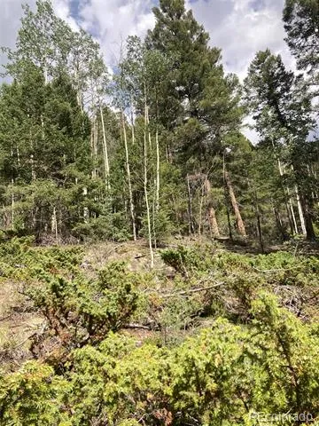 LOT 6461 Jacquez Road San Luis, CO 81152