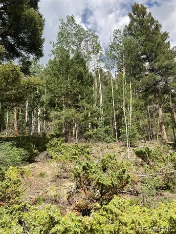 LOT 6461 Jacquez Road San Luis, CO 81152