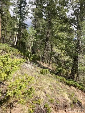 LOT 6461 Jacquez Road San Luis, CO 81152
