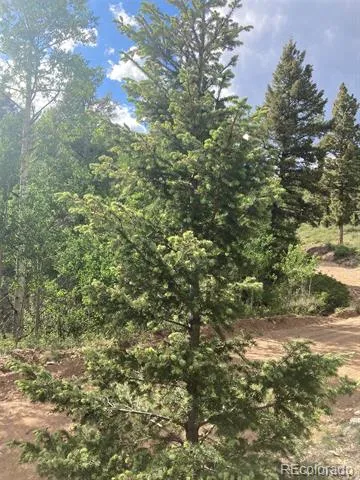 LOT 6461 Jacquez Road San Luis, CO 81152