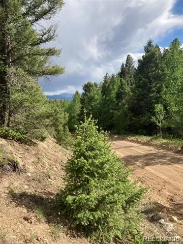 LOT 6461 Jacquez Road San Luis, CO 81152