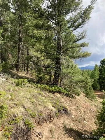 LOT 6461 Jacquez Road San Luis, CO 81152