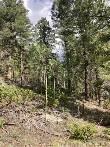 LOT 6461 Jacquez Road San Luis, CO 81152