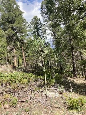 LOT 6461 Jacquez Road San Luis, CO 81152