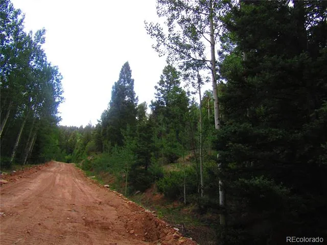 LOT 6461 Jacquez Road San Luis, CO 81152