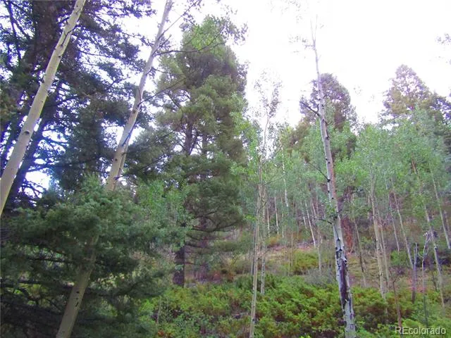 LOT 6461 Jacquez Road San Luis, CO 81152