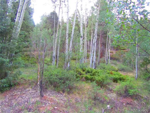 LOT 6461 Jacquez Road San Luis, CO 81152