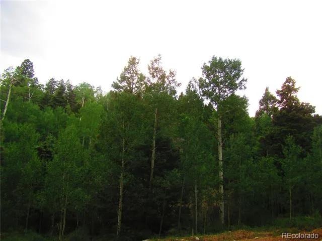 LOT 6461 Jacquez Road San Luis, CO 81152