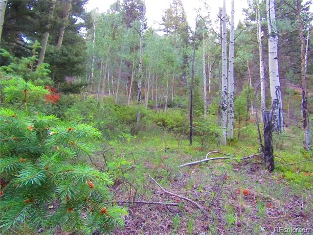 LOT 6461 Jacquez Road San Luis, CO 81152