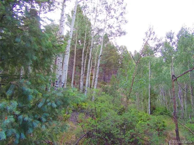LOT 6461 Jacquez Road San Luis, CO 81152