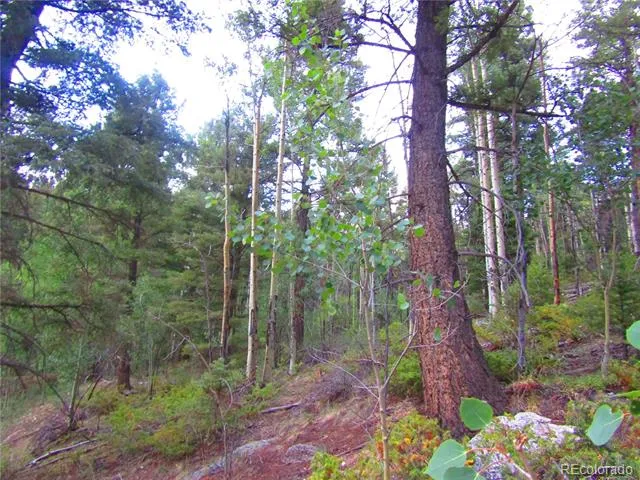 LOT 6461 Jacquez Road San Luis, CO 81152