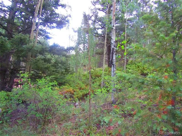 LOT 6461 Jacquez Road San Luis, CO 81152