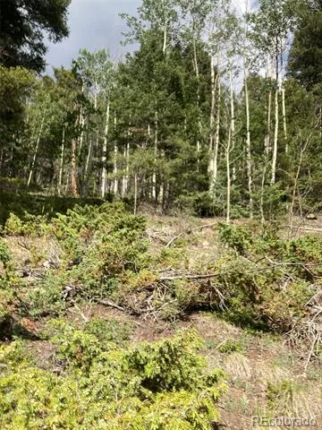 LOT 6461 Jacquez Road San Luis, CO 81152