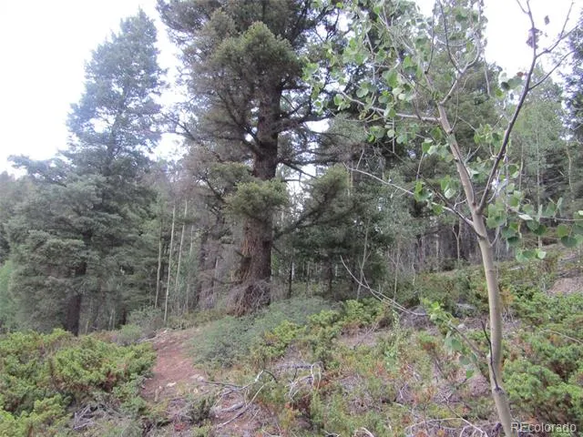 LOT 6461 Jacquez Road San Luis, CO 81152