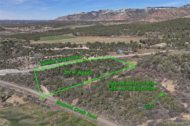 58450 Buzzard Creek Road Collbran, CO 81624