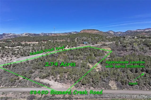 58450 Buzzard Creek Road Collbran, CO 81624