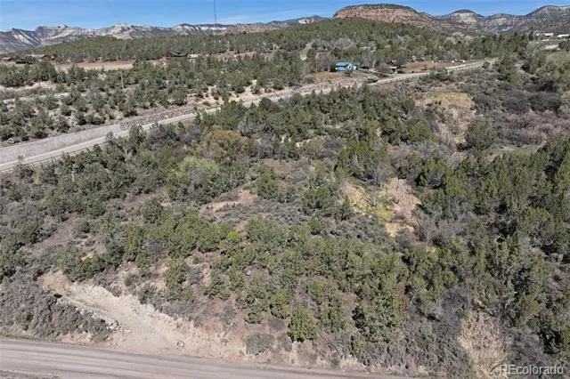 58450 Buzzard Creek Road Collbran, CO 81624