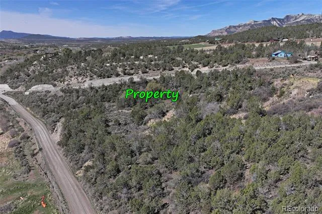 58450 Buzzard Creek Road Collbran, CO 81624