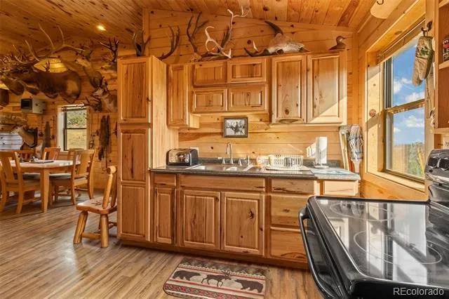 6651 Farview Valley Road Trinidad, CO 81082