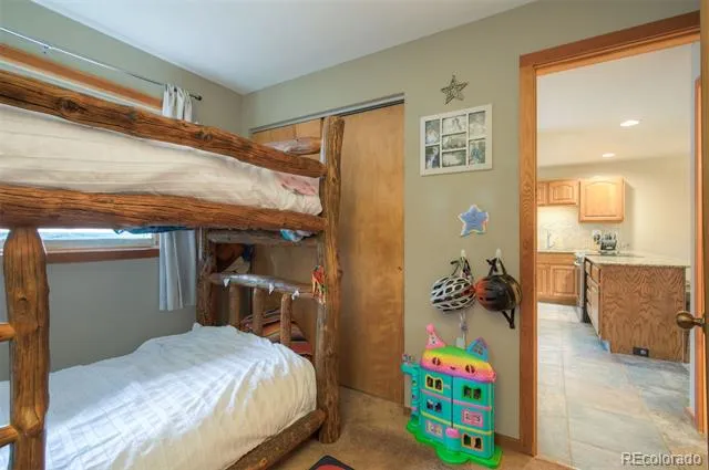 9460 Ryan Gulch Road #9461 Silverthorne, CO 80498
