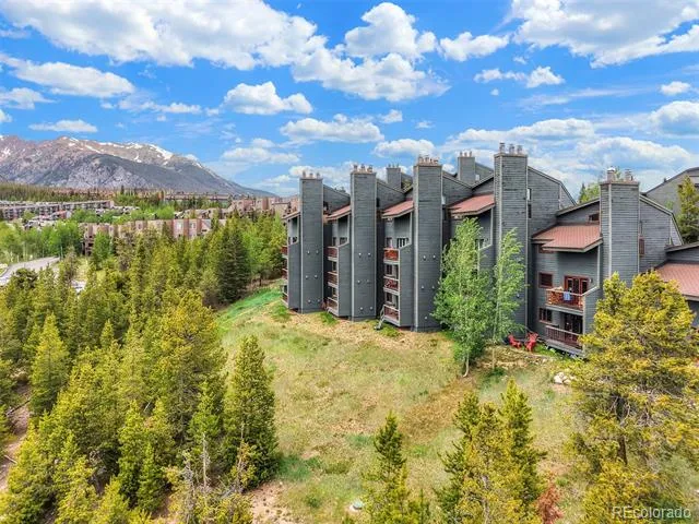 9460 Ryan Gulch Road #9461 Silverthorne, CO 80498