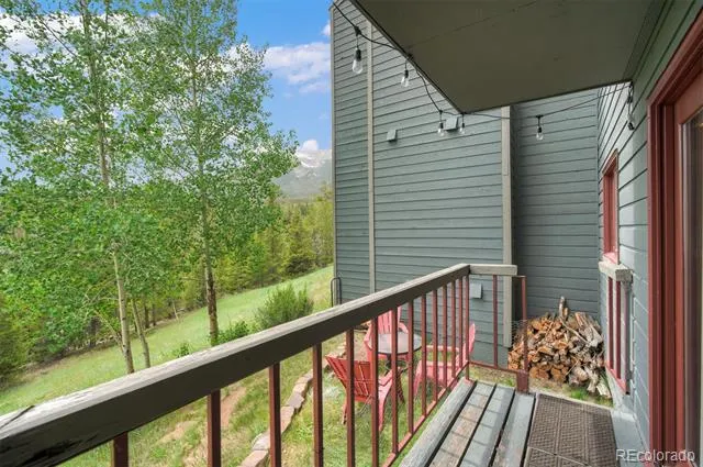 9460 Ryan Gulch Road #9461 Silverthorne, CO 80498